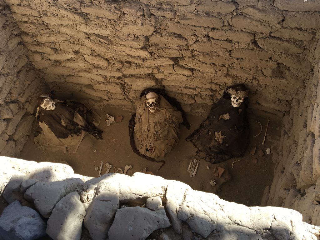 Varias momias del cementerio de Chauchilla